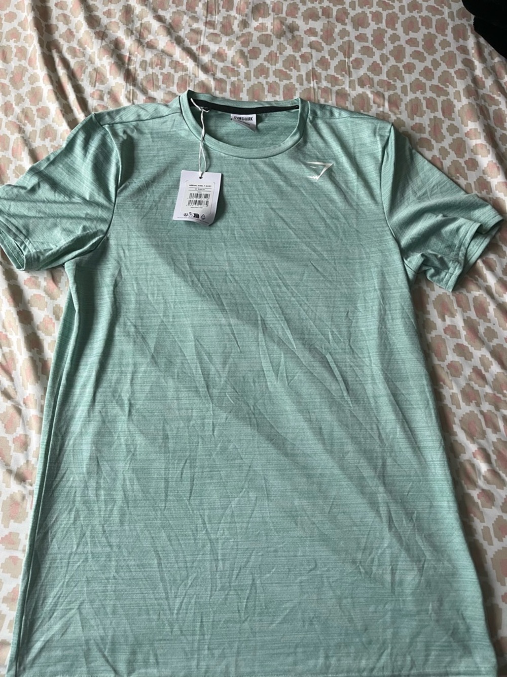 Gymshark Men’s Mint Green Short Sleeve Training Tee